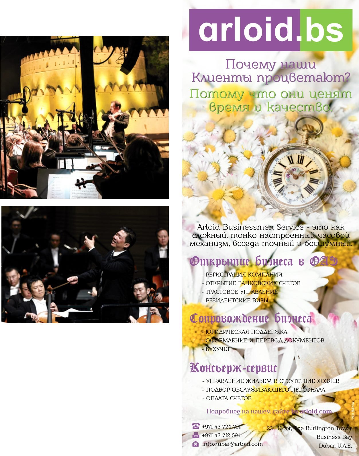 Page Background